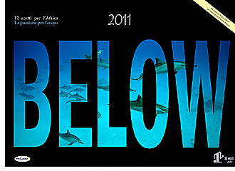 Below 2010